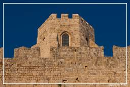 Rhodes (169) Medieval walls