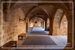 Grand Master’s palace, Rhodes (360)