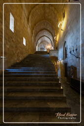 Grand Master’s palace, Rhodes (380)
