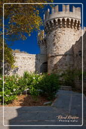 Grand Master’s palace, Rhodes (455)