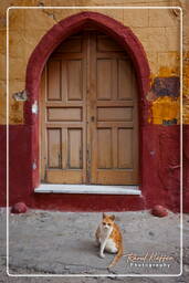 Old town, Rhodes (744)