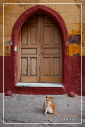 Rhodes (744) Old town