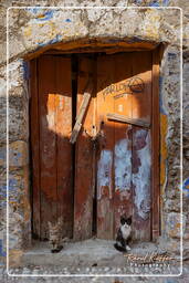 Rhodes (798) Old town