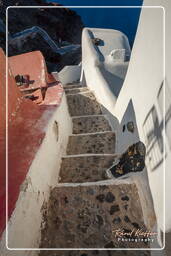 Oia, Santorini (208)