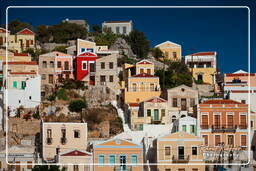 Yialos, Symi (448)
