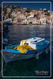 Symi (771) Yialos