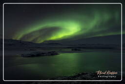 Aurore Boréale (Islande) (102) Jökulsárlón