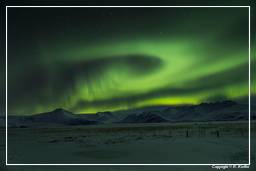 Aurora Boreale (Islanda) (110)