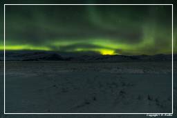 Aurora Boreale (Islanda) (119)