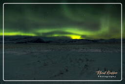 Aurora Borealis (Iceland) (119)