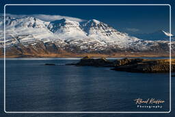 Fjords de l’est (6)