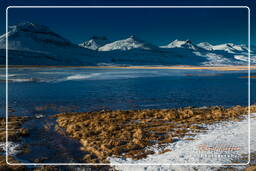 East fjords (13)