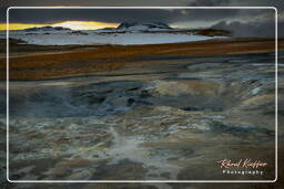 Hverarond (89)