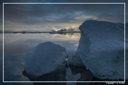 Jökulsárlón (60)