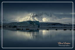 Jökulsárlón (135)