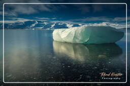 Jökulsárlón (211)