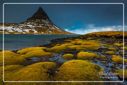 Kirkjufell (76)