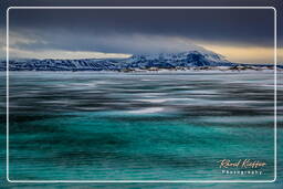 Lake Mývatn (3)