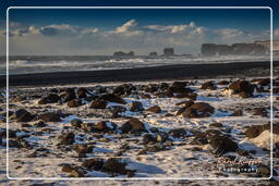 Reynisfjara (207)