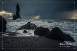 Reynisfjara (256)