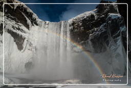 Skógafoss (13)