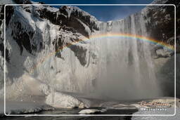 Skógafoss (27)