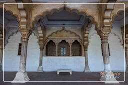 Red Fort of Agra (4)