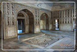 Red Fort of Agra (11)