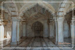 Red Fort of Agra (45)