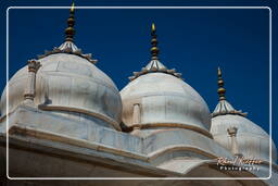 Red Fort of Agra (47)