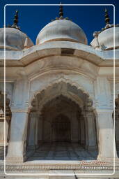 Red Fort of Agra (50)