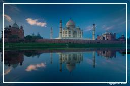 Taj Mahal (146)