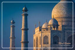 Taj Mahal (221)
