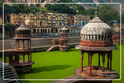 Alwar (12)