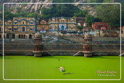 Alwar (104)