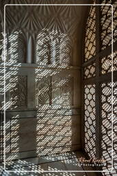 Bibi Ka Maqbara, Aurangabad (49)