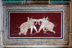 Taragarh Fort, Bundi (362)