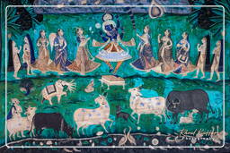 Taragarh Fort, Bundi (365)
