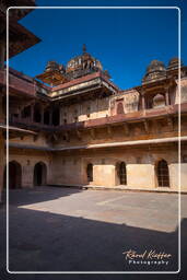 Datia (43) Palacio Bir Singh Deo