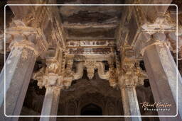 Bir Singh Deo Palace, Datia (88)