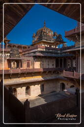 Datia (161) Palacio Bir Singh Deo