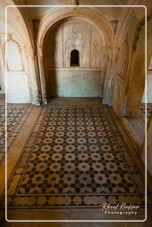 Deeg (13) Deeg Palace (Jal Mahal)