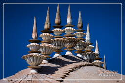 Deeg Palace (Jal Mahal), Deeg (69)