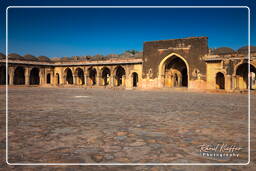 Begumpur Masjid (Delhi) (3)