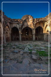 Begumpur Masjid (Delhi) (9)