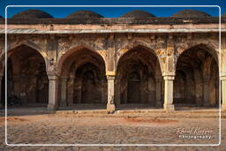 Begumpur Masjid (Delhi) (17)