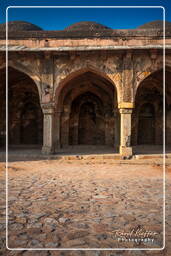 Begumpur Masjid (Delhi) (20)