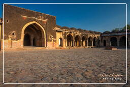 Begumpur Masjid (Delhi) (22)