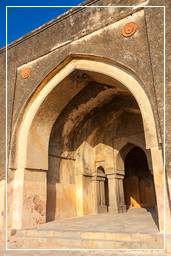 Begumpur Masjid (Delhi) (23)
