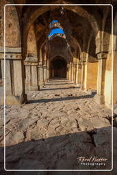 Begumpur Masjid (Delhi) (29)